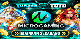 MICROGAMING